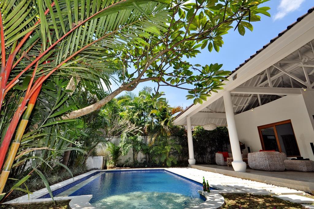 Villa Camelia Семиньяк Экстерьер фото